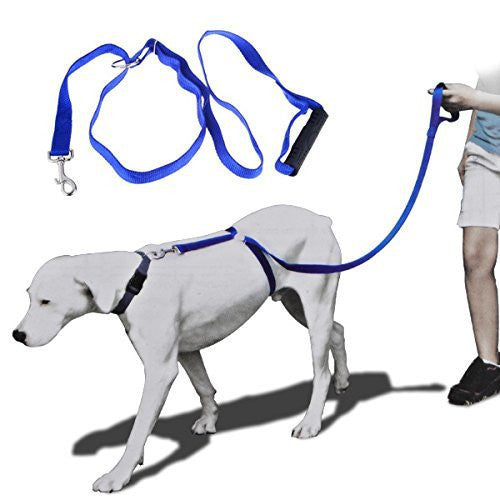 New Instant Trainer Leash As Seen On TV